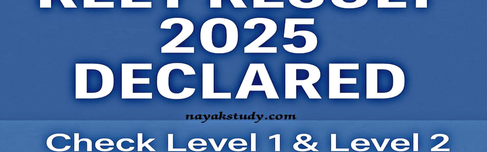 REET RESULT 2025